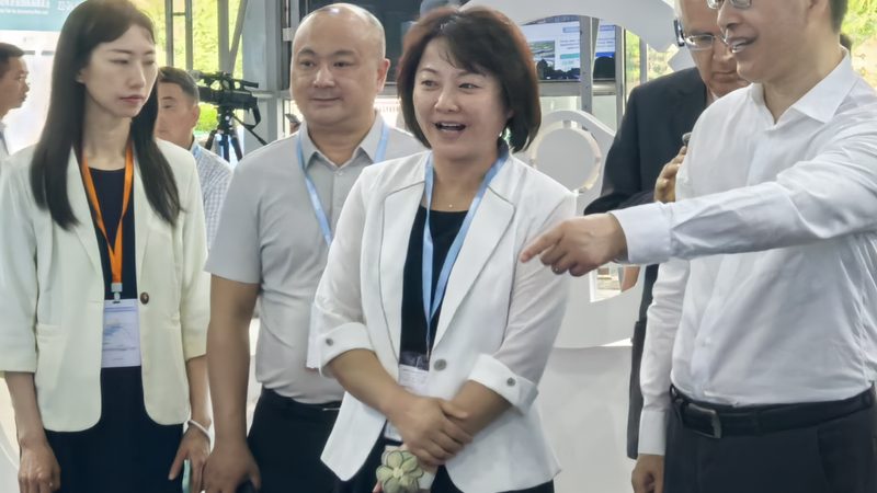 装360全景影像，工时费多少？揭秘影响价格的关键因素**